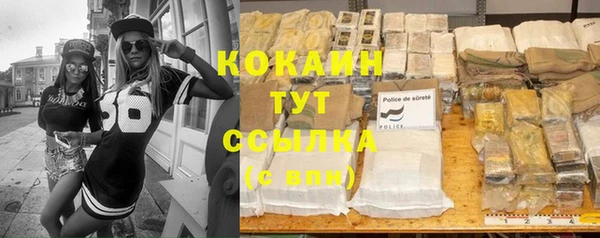 шишки Балахна
