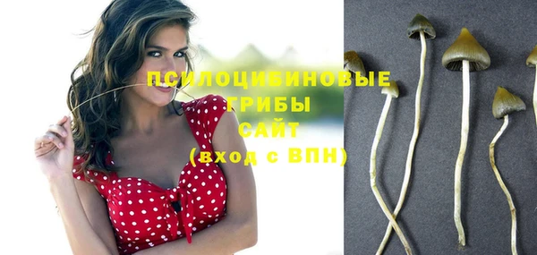 ECSTASY Баксан