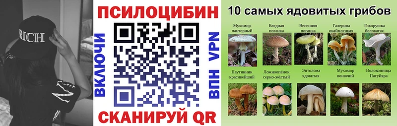 Галлюциногенные грибы GOLDEN TEACHER  где найти наркотики  Долгопрудный 