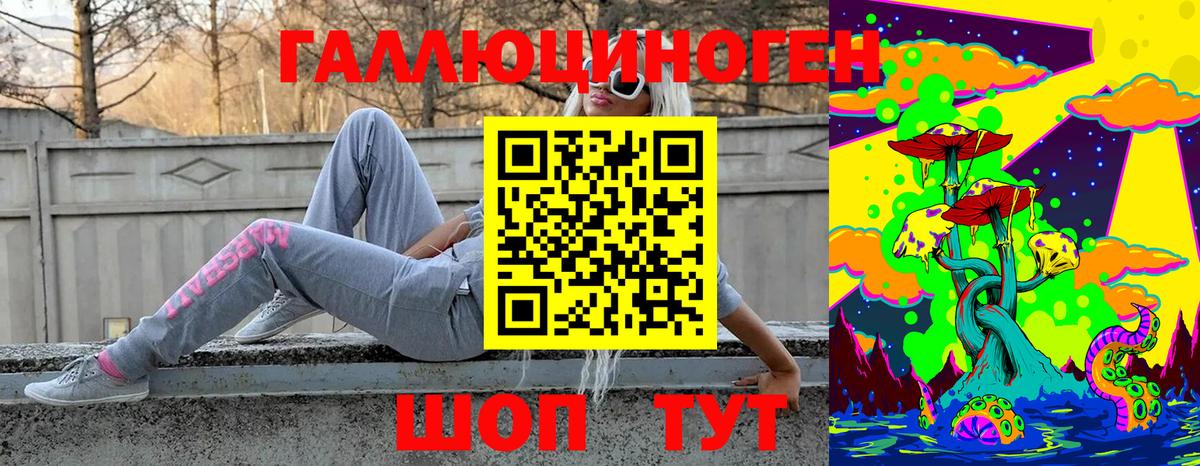 Псилоцибиновые грибы GOLDEN TEACHER Долгопрудный