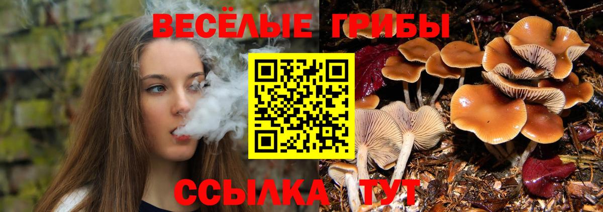 Галлюциногенные грибы прущие грибы  Вход с VPN  Галлюциногенные грибы ЛСД  Долгопрудный 